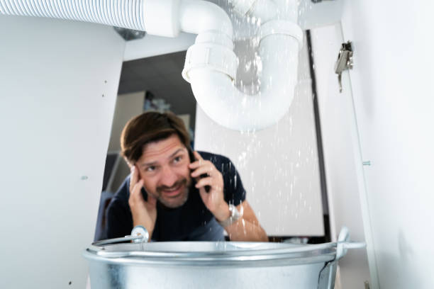 Best Septic Systems  in Cutler, CA